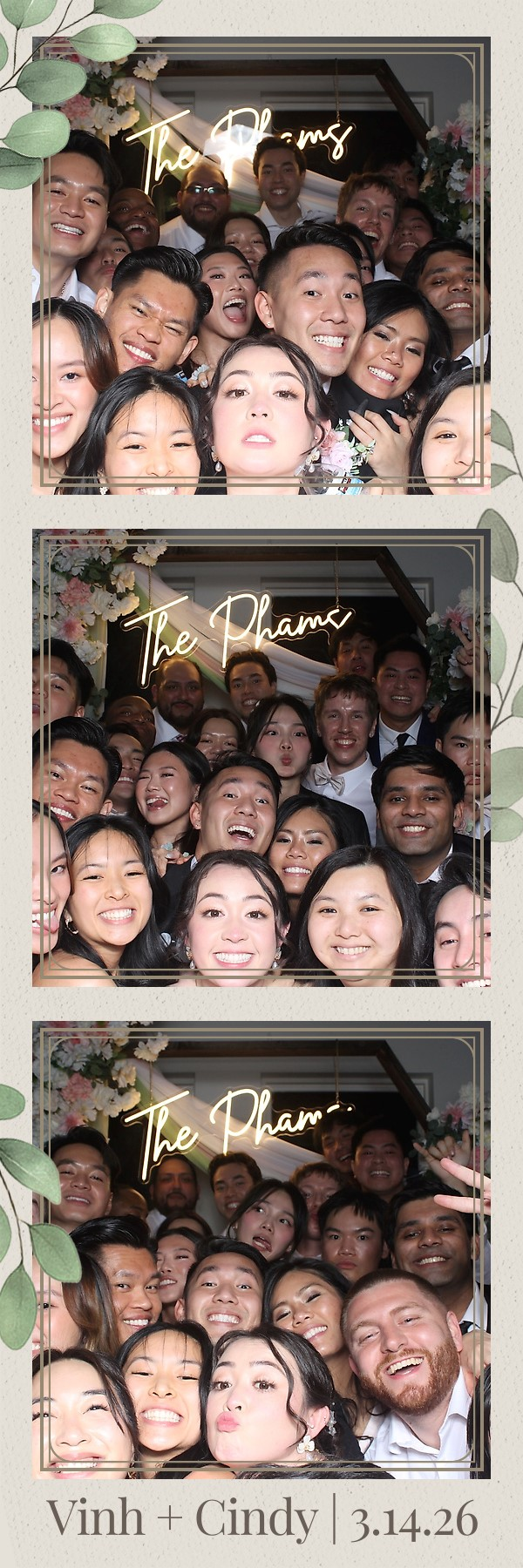 Vinh and Cindy single 2 by 6 wedding photo strip